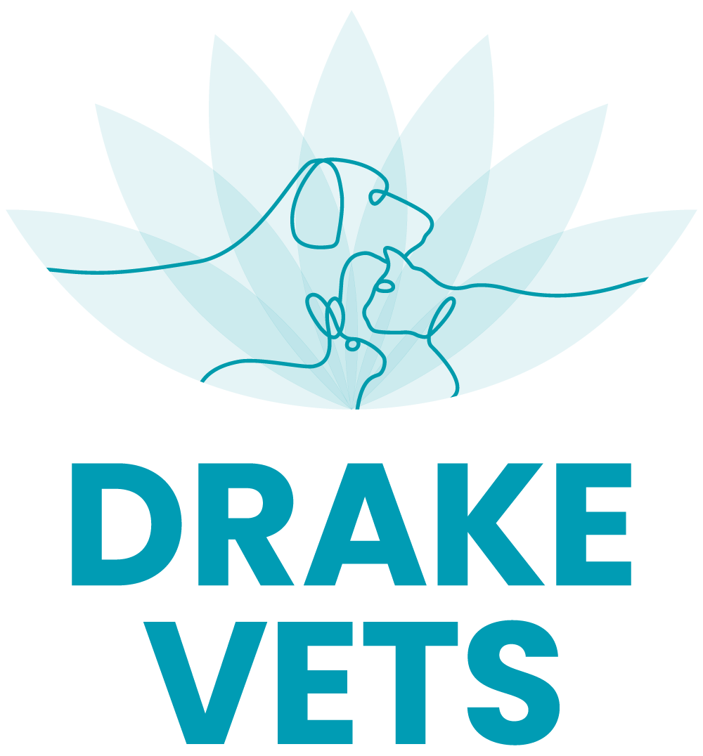 Drake Vets