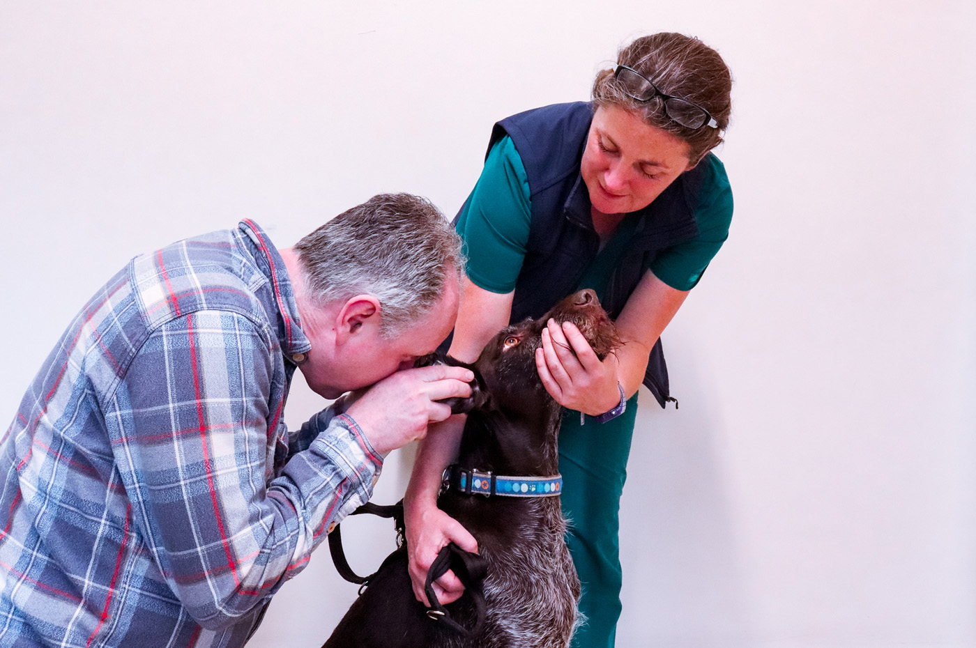 Andrew Ketteridge | Veterinary Team | Drake Vets Yelverton & Tavistock