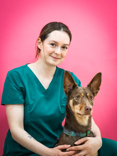 Amber Goldsmith | Veterinary Team | Drake Vets Yelverton & Tavistock