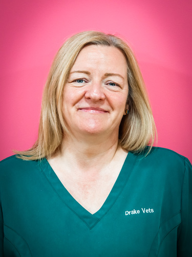 Mary Fellows | Veterinary Team | Drake Vets Yelverton & Tavistock