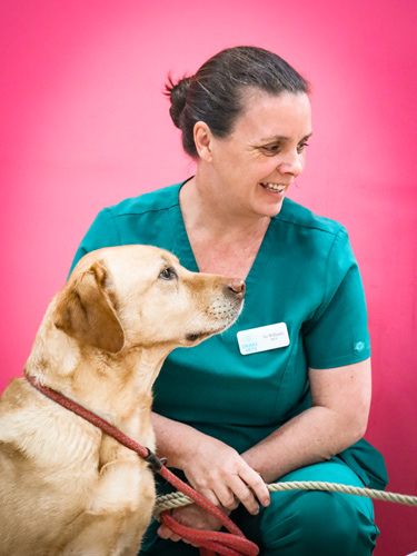 Su Williams | Veterinary Team | Drake Vets Yelverton & Tavistock