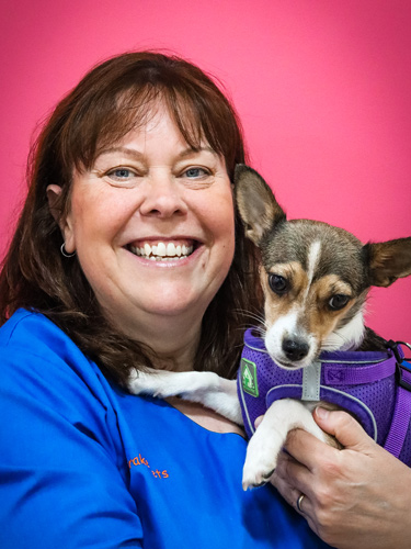 Linda Whitaker | Veterinary Team | Drake Vets Yelverton & Tavistock