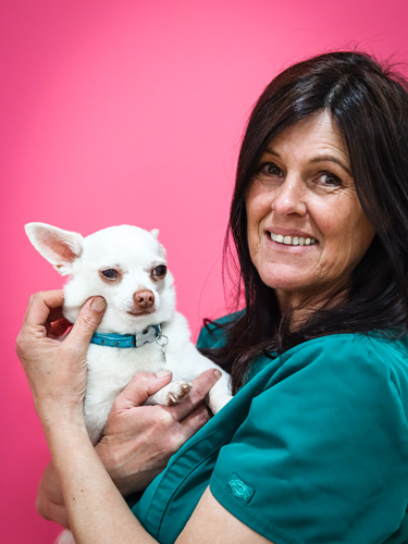 Tracy Beech | Veterinary Team | Drake Vets Yelverton & Tavistock